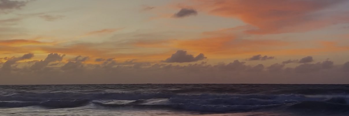 ZsofiaRoque's profile banner image