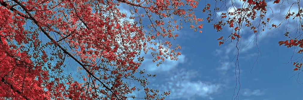 blackness_19's profile banner image