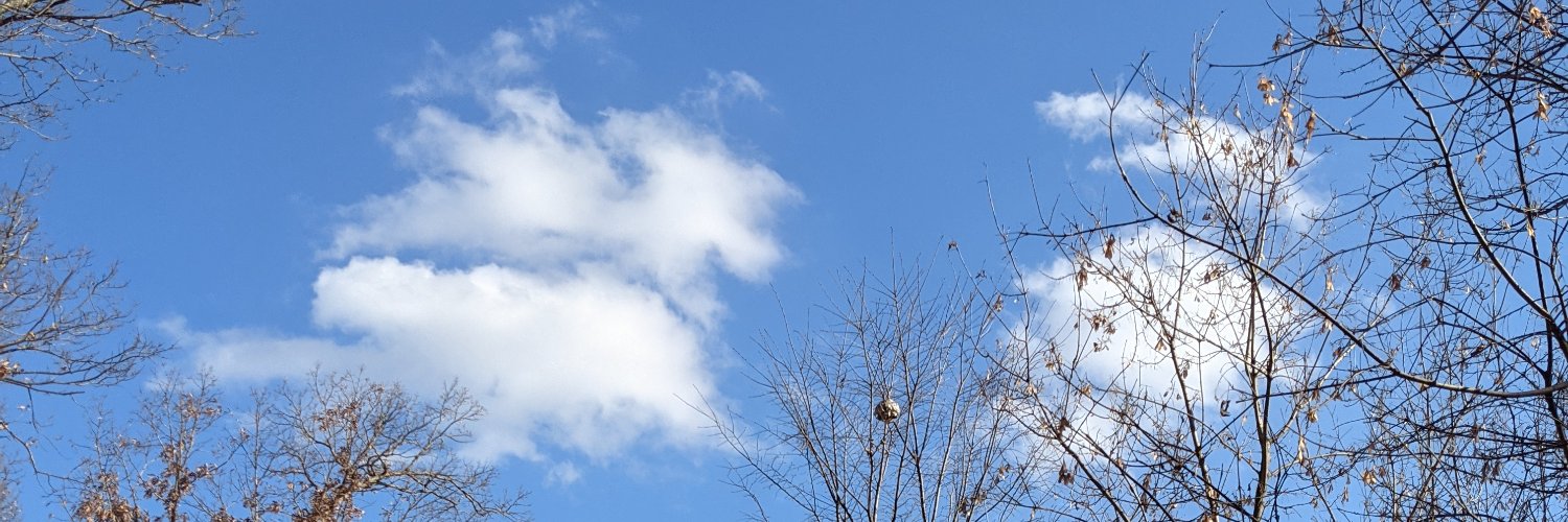 marshaeg's profile banner image