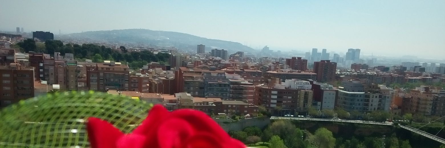 MoralIre's profile banner image