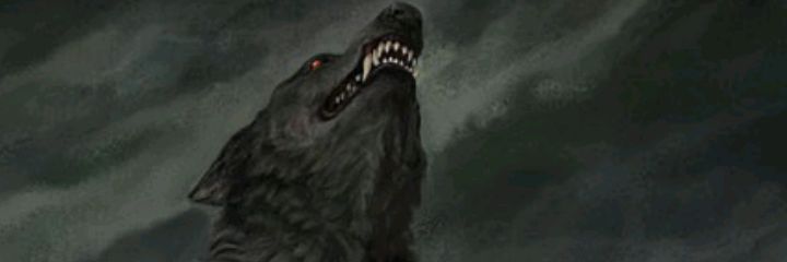 $CESAR D ZUNIGA$ banner