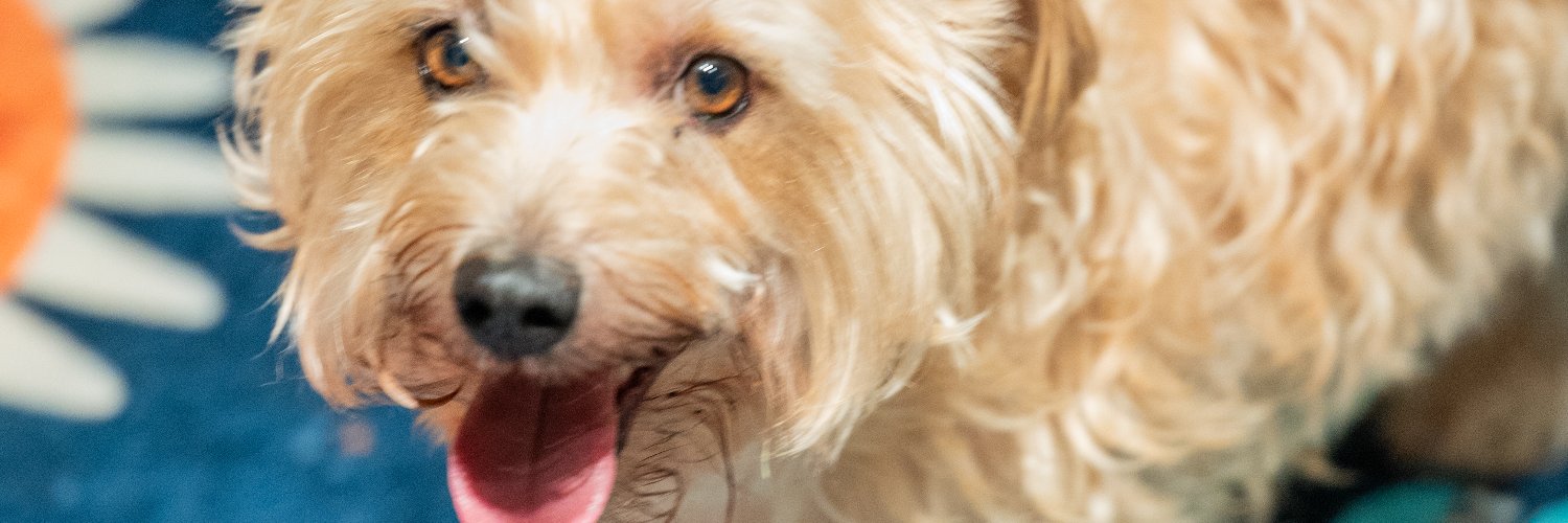 wumbonize's profile banner image