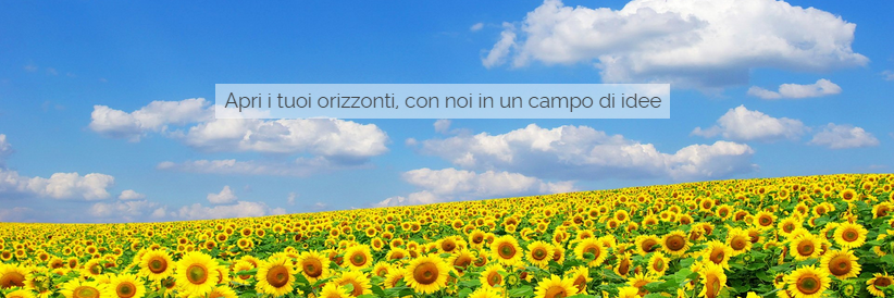 Maffeis Network SA banner