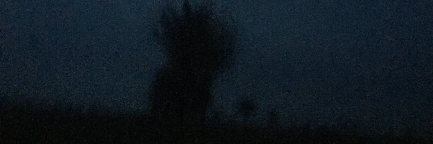uizesgn's profile banner image