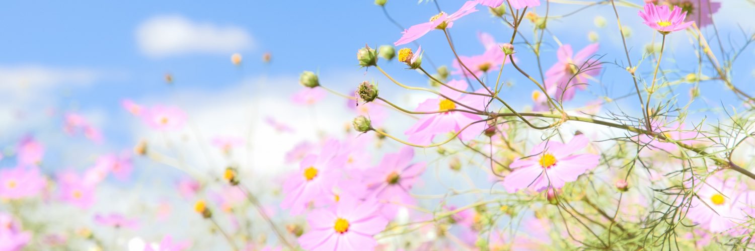 bee3283's profile banner image