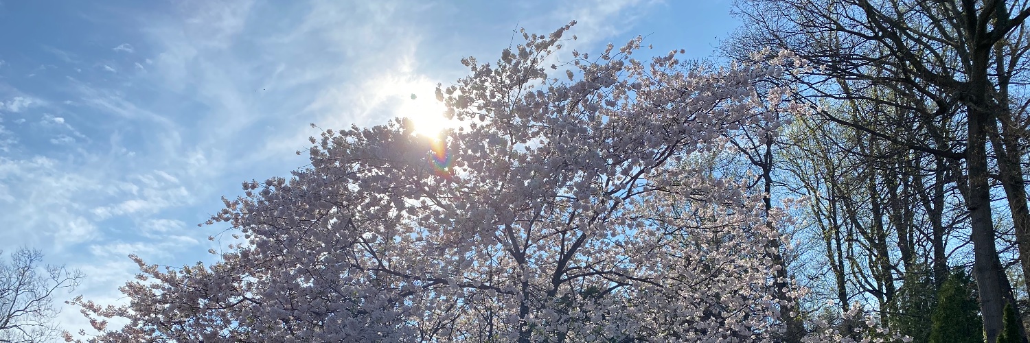 rjtaber's profile banner image