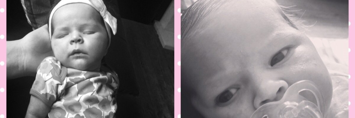 StephanieBow. banner