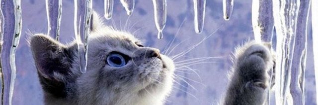 BlueAmp's profile banner image