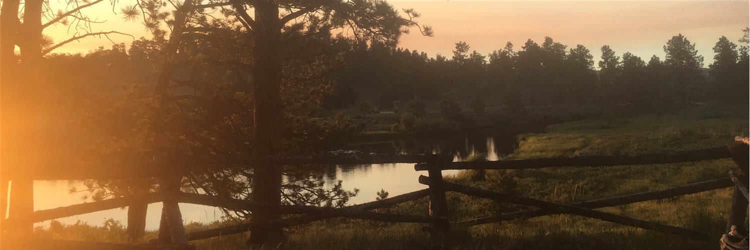 AmandaHalliday's profile banner image
