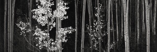 L1st0rt1 Profile Banner