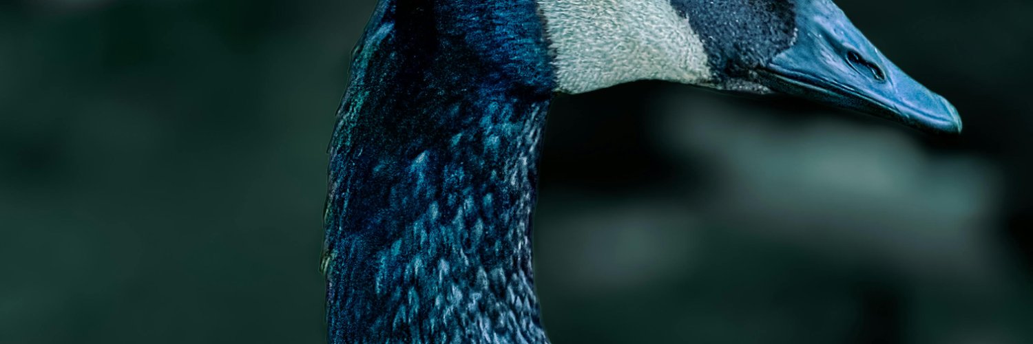 svn_27's profile banner image