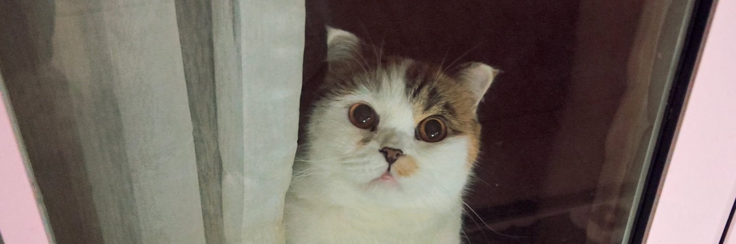 amcatty's profile banner image
