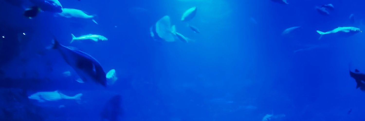 erieri1019's profile banner image