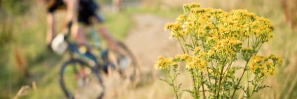 Beastway Profile Banner