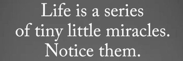 teimoncar Profile Banner