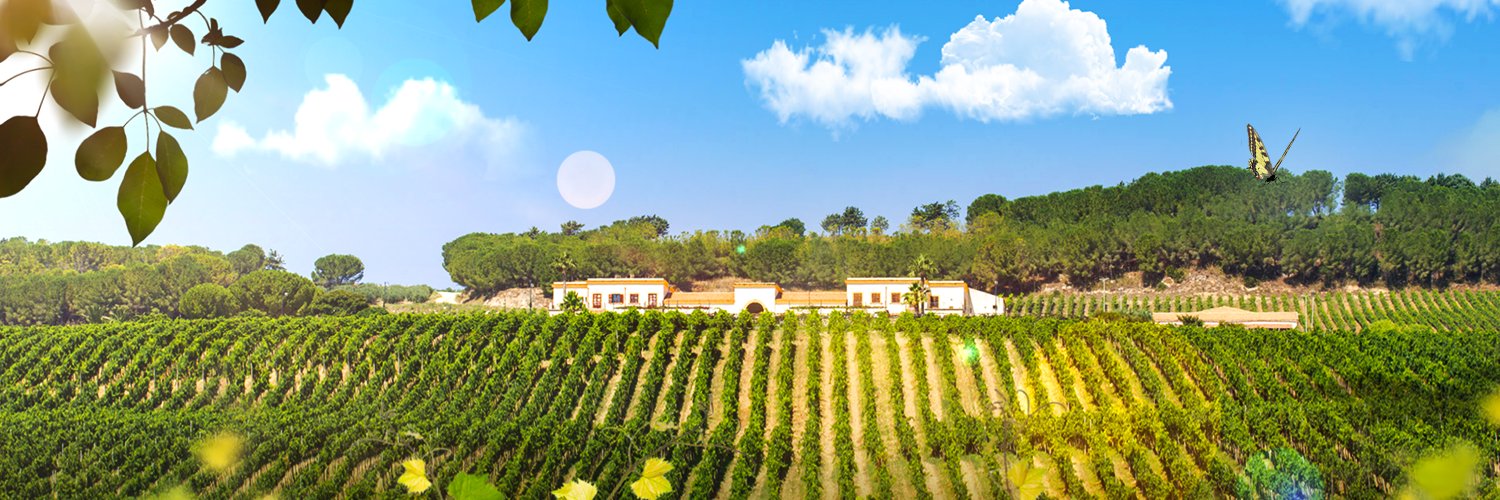 feudoarancioIT's profile banner image