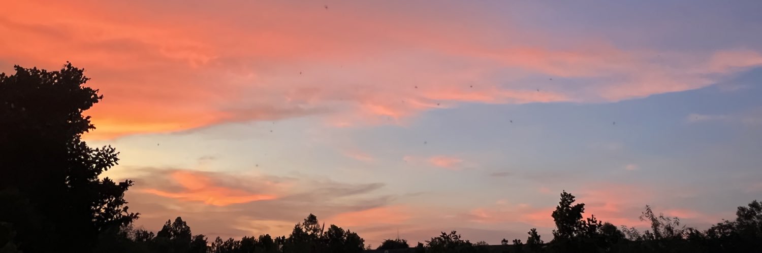 nnisatee's profile banner image
