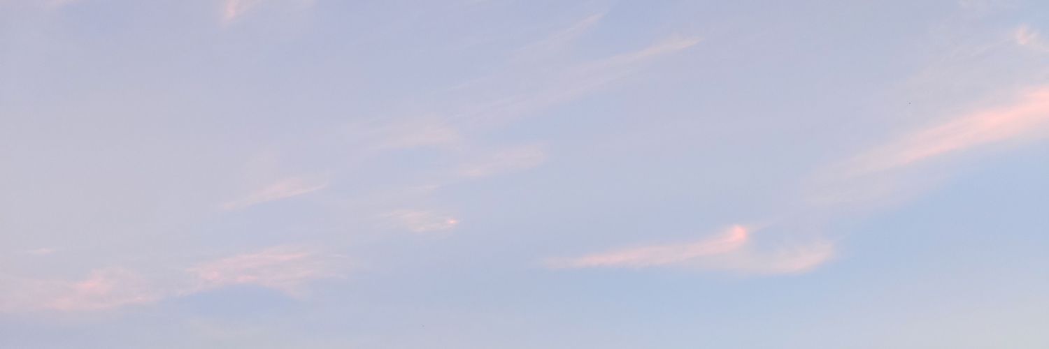 Argonauta_ec's profile banner image