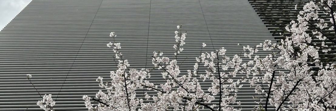 t_782's profile banner image