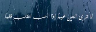 مثعي الهدبا banner