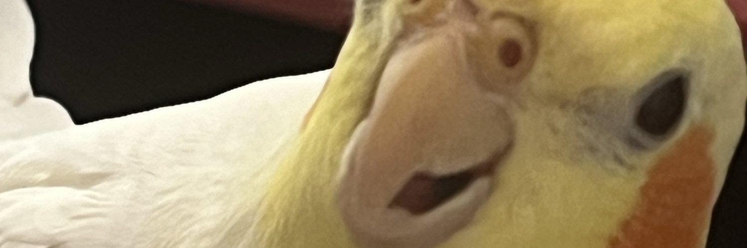 MrNoKoS's profile banner image