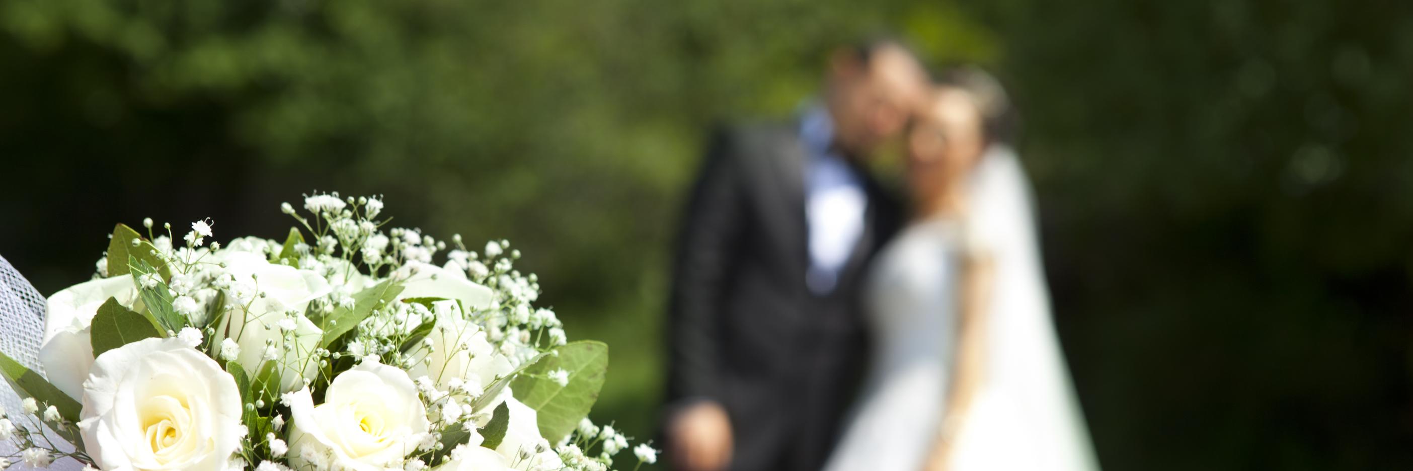 Pure Photo N.I banner