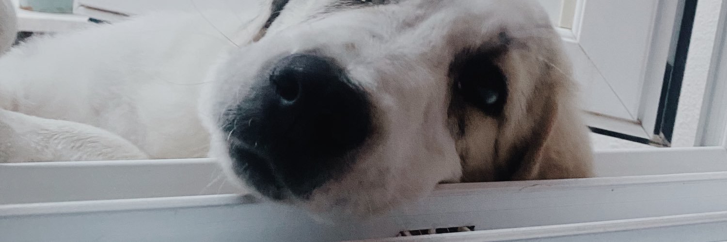 Nenass17's profile banner image