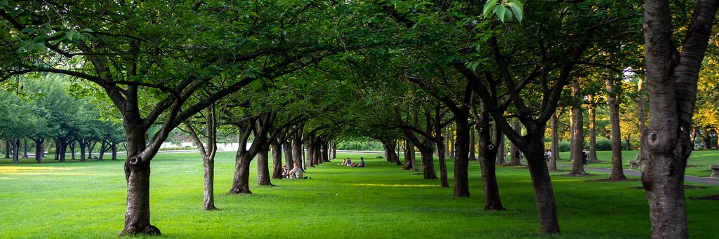 Brooklyn Botanic Garden banner