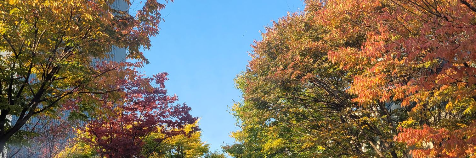 ajeneggal's profile banner image