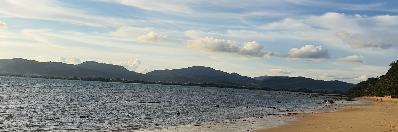 VvPalm's profile banner image