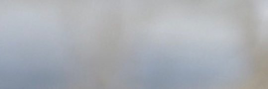 slyri's profile banner image