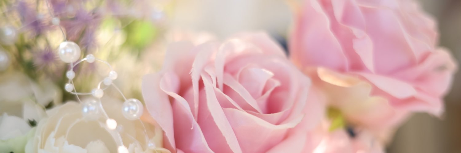 midordy's profile banner image