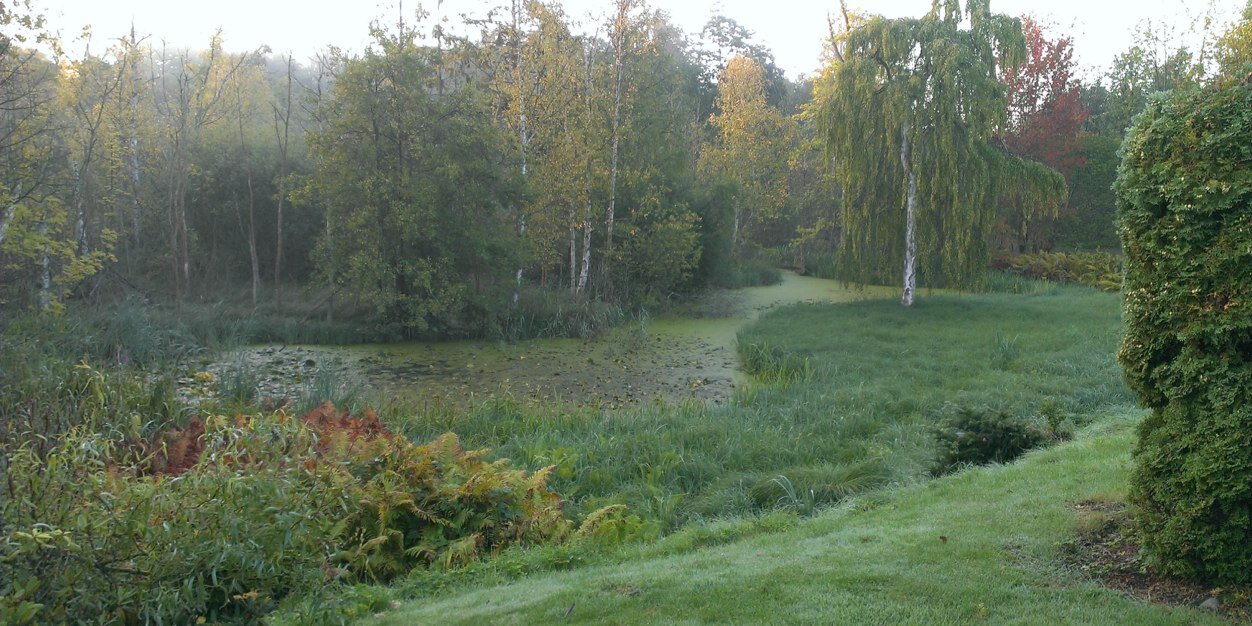 hagenborg's profile banner image
