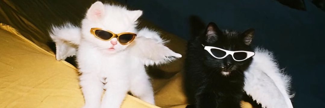 hyasmean_'s profile banner image