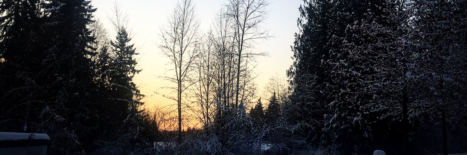 MsBrewsy's profile banner image