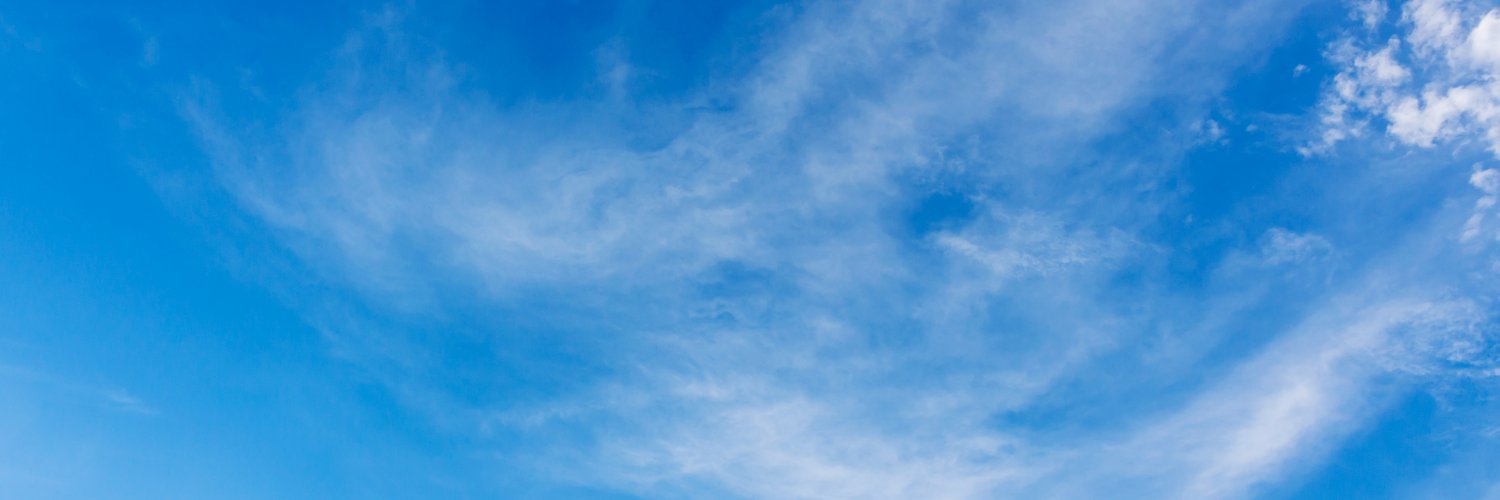 standeese's profile banner image
