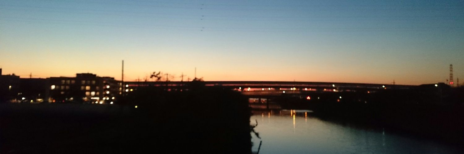 tortuepin's profile banner image