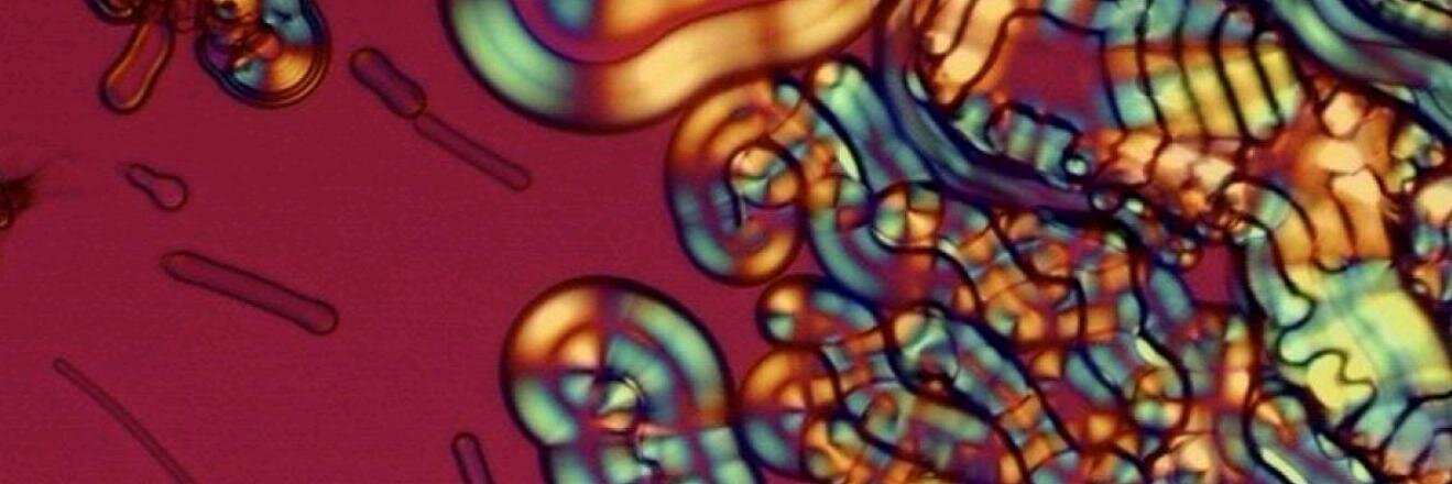 Nigel Mottram banner