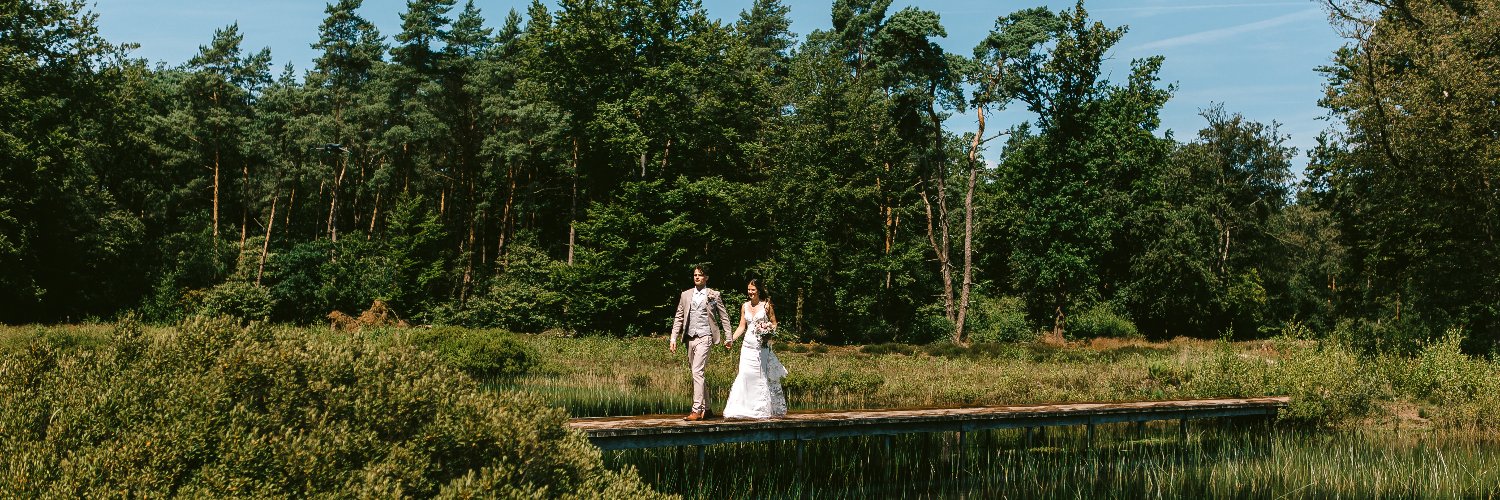 Dion de Brouwer banner