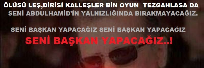ahaviak1's profile banner image