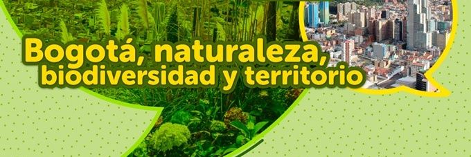 Serendipia banner