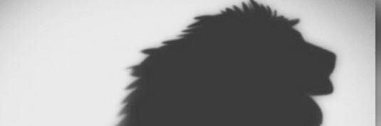 Fatso_35's profile banner image