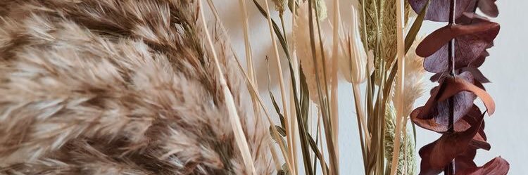 Hajraa_'s profile banner image