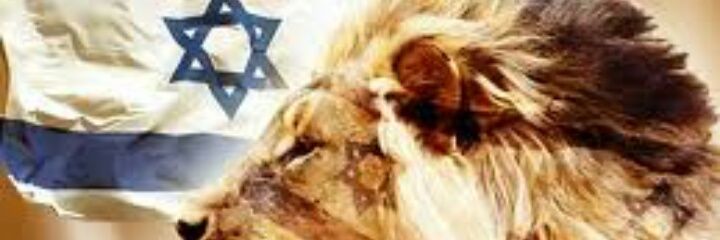 drgabrielpp's profile banner image