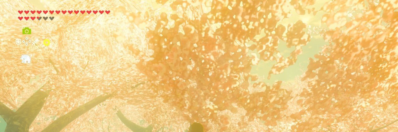 mipipa2's profile banner image