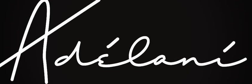 Adelani Ogunrinade banner