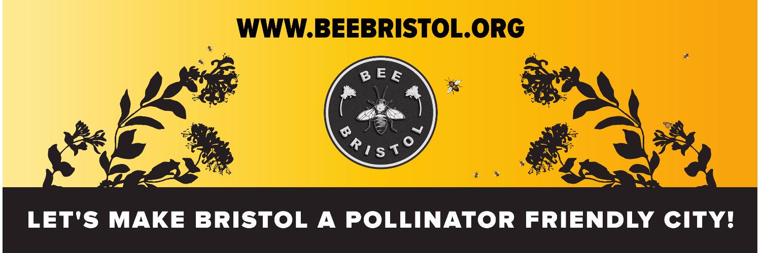 bee_bristol's profile banner image