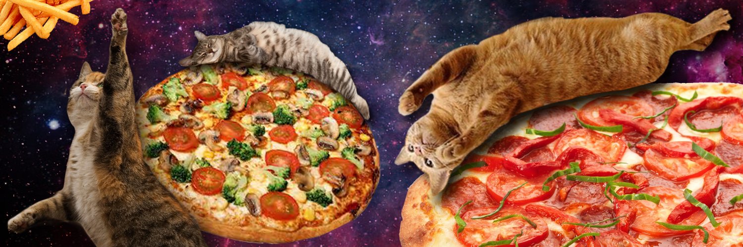 BlueTinySock's profile banner image