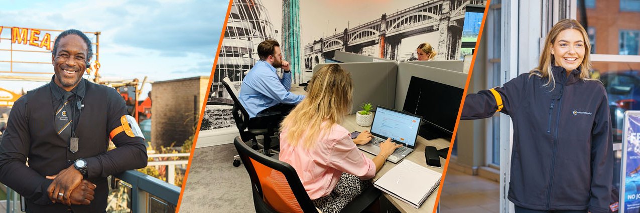 ProfessionalSecurity banner