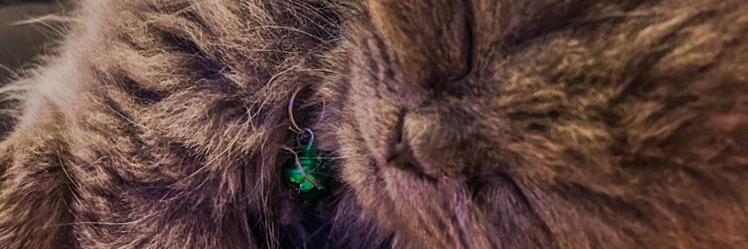 ipekkarabas's profile banner image